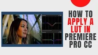 How to Apply a LUT in Premiere Pro | YouTube 