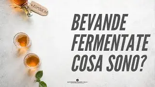 COS'È LA FERMENTAZIONE? ( Corso Completo )