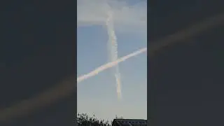 12 августа 2023 г.