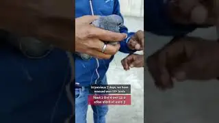 SAVE BIRD it is not our hindu culture to kill animals but to protect them# maker Sankranti