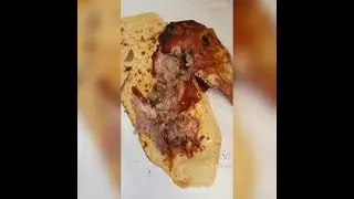 en beğenilen sosyal medya videolari trend komik eğlenceli videolar 