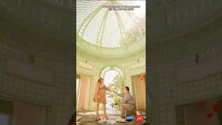 Surprise Proosal 💍 Vizcaya Museum & Garden Miami photographer #proposal