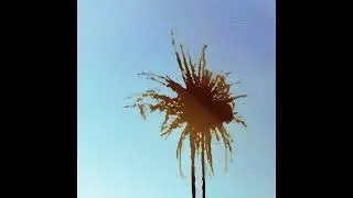 [FREE] BOUNCY LOOP KIT | Dance, House, Reggaetón, RnB, Hip Hop 