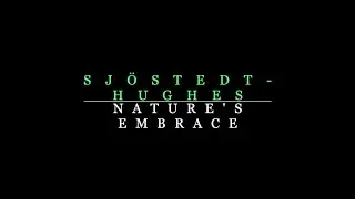 Sjöstedt-Hughes – Nature's Embrace