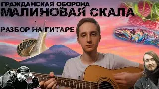 ГРАЖДАНСКАЯ ОБОРОНА (ПОСЕВ) 