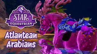 Atlantean Arabian Showcase - Star Equestrian Fantasy Horses