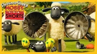 Stomp - Shaun the Sheep [Full Episode]
