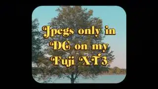 Jpegs only Fuji XT3 in Washington DC