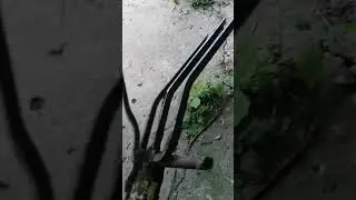 Земля просто пух.
