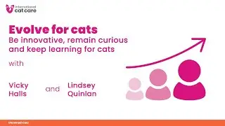 Evolve for cats - Lindsey Quinlan talks with Vicky Halls