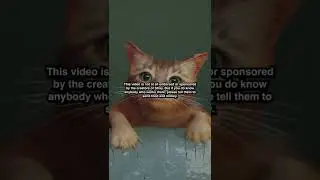 Are you gonna buy Stray?