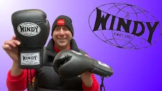 WINDY BGL Lace Boxing Muay Thai GLOVES REVIEW