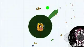 TIGER MACRO 🐅(AGAR.IO MOBILE)
