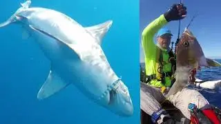 fishpics slideshow