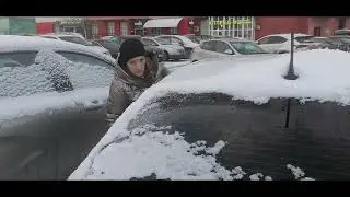 Наша жизнь на севере. Сплю до обеда.  Акклиматизация прошла.  Бабочка умерла.