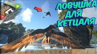ARK Survival Evolved ➤ КАК ПРИРУЧИТЬ КЕТЦАЛЯ