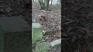 Alter zerstörter Friedhof in Polen