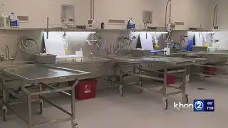 Iwilei autopsy facility re-opens after $5.9M transformation
