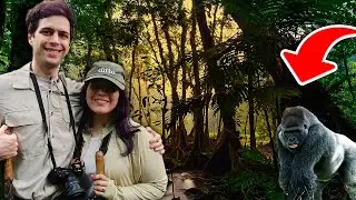 The Most Surreal Experience of My Life – Tracking Gorillas in Uganda