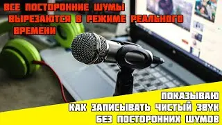 Как убрать все посторонние шумы на записи с микрофона?
