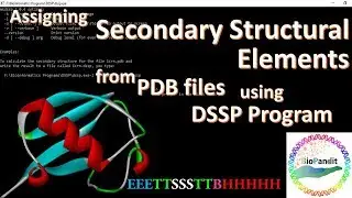 Assigning secondary structural elements from PDB files using DSSP