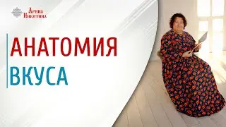Анатомия вкуса. Как работают вкусовые рецепторы | Арина Никитина