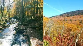 Ta-Ta-Ta-Ta--TAAA!!  Automne edition2