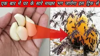 मच्छर भगाने का देशी तरीका, 1 बार में सारे मच्छर घर से छू मंतर हो जायेंगे // machar bhagane ka tarika