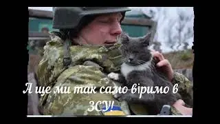 Війна показує, що найдорожче. Історія однієї тварини на тлі війни. Моральні страждання від втрати