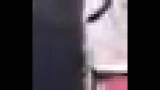 Damn Daniel (HD)