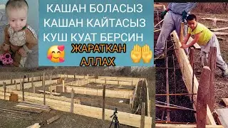 24 октября 2024 г.