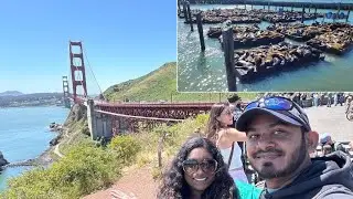 The Golden Gate Bridge & Pier 39 Seals
