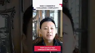 Complexity of B2B e-commerce