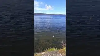 beautiful beaches in Norway 🇳🇴 #oslo #viral