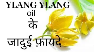 YLANG YLANG OIL के जादुई फ़ायदे। By Dr. Manoj Das