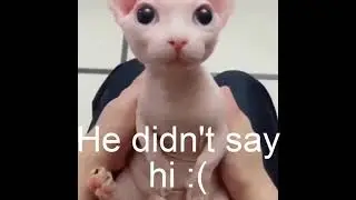 He didn't say hi:(