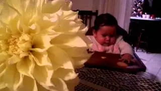 SAM 3111