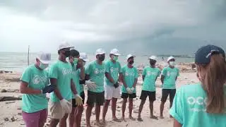 Cleaning The Beach In Bali, Indonesia (OCG.ORG)