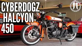 Mike's Custom Cyberdogz Halcyon 450