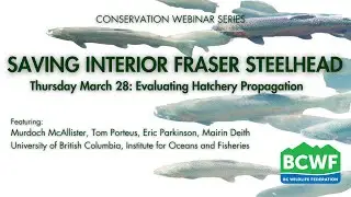 Saving Interior Fraser Steelhead Session 2: Evaluating Hatchery Propagation