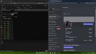 Discord username checker without limit... (so fast)
