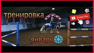 Тренировка в манеже / Январь 2020