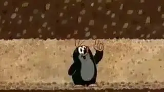 Krecik rozpoerdala miasto