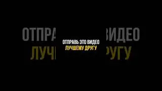 Дружба и успех могут идти рука об руку, и примеры из этого видео - яркое доказательство этого. #nft