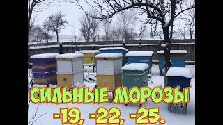 А у нас зима🥶 -20 Крепкие морозы, а пчелы в ульях!!
