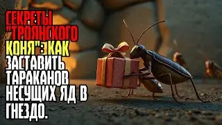 СЕКРЕТЫ ТРОЯНСКОГО КОНЯ КАК ЗАСТАВИТЬ ТАРАКАНОВ НЕСУЩИХ ЯД В ГНЕЗДО