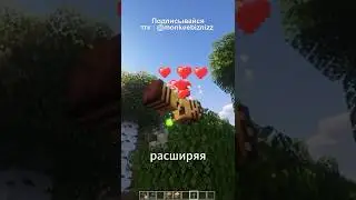ГАЙД ПО ПЧЕЛАМ И МЕДУ в 