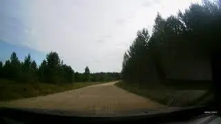 лоси