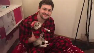 My Husband with Cat He Did Not Want 😹
