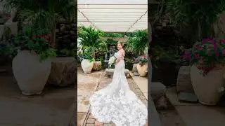 Wedding Day Photos